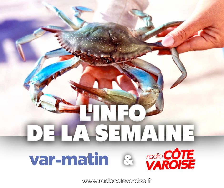 PIC INFO SEMAINE 17.jpg (94 KB)