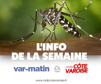 PIC INFO SEMAINE 30.jpg (17 KB)