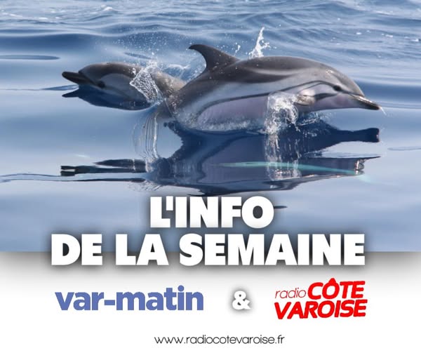info semaine 260625.jpg (40 KB)