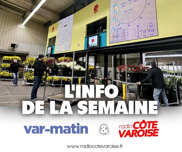 info semaine sica hyeres.jpg (61 KB)